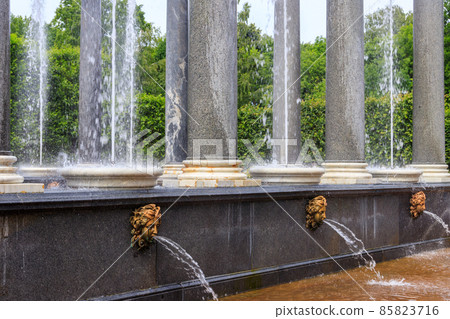 Fountain Lion's cascade in Lower park of Peterhof in St. Petersburg, Russia 85823716