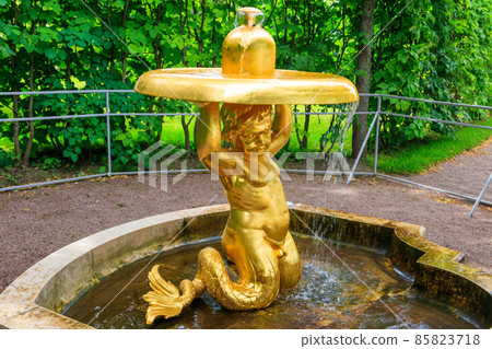 Fountain "Triton - bell" in lower park of Peterhof in St. Petersburg, Russia Fountain "Triton - bell" in lower park of Peterhof in St. Petersburg, Russia 85823718