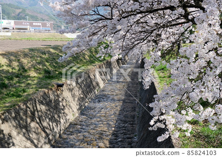 5 Sakura, Tagiri, Iijima-cho, Kamiina-gun, 長野縣 85824103