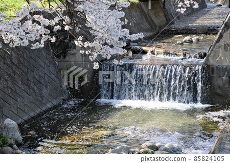 6 Sakura, Tagiri, Iijima-cho, Kamiina-gun, Nagano Prefecture 85824105