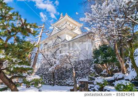 雪大垣城<岐阜縣大垣市> 雪大垣城<岐阜縣大垣市> 85824145
