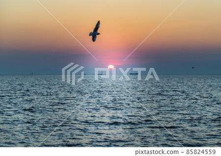 Seagulls flying over the sea on the background of beautiful sunset. Seagulls flying over the sea on the background of beautiful sunset. 85824559