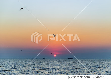 Seagulls flying over the sea on the background of beautiful sunset. Seagulls flying over the sea on the background of beautiful sunset. 85824560