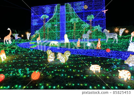 [Fukuoka Prefecture] Oto Illumination (Roadside Station Oto Sakurakaido) 85825453