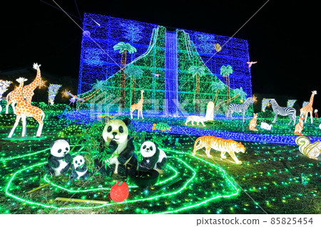 [Fukuoka Prefecture] Oto Illumination (Roadside Station Oto Sakurakaido) 85825454