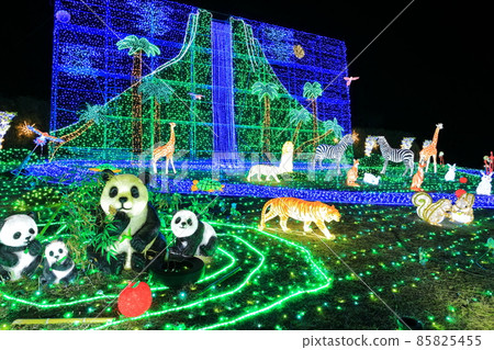 [Fukuoka Prefecture] Oto Illumination (Roadside Station Oto Sakurakaido) 85825455
