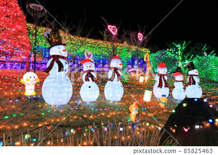 [福岡縣]大藤燈飾（路之驛大藤櫻街道） 85825463