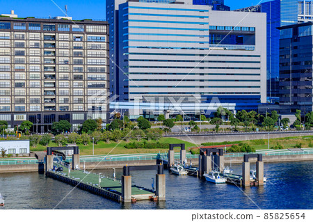[Cityscape of Tokyo] Cityscape of Odaiba from Tokyo International Cruise Terminal 85825654