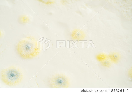 growth of mold on yogurt or food surface exceeded expiry date growth of mold on yogurt or food surface exceeded expiry date 85826543
