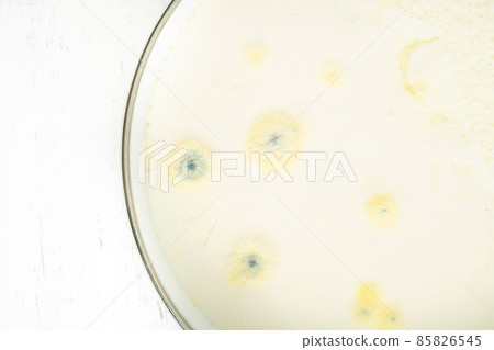 growth of mold on yogurt  food surface exceeded expiry date 85826545