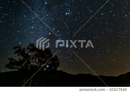 Orion and the winter starry sky 85827688