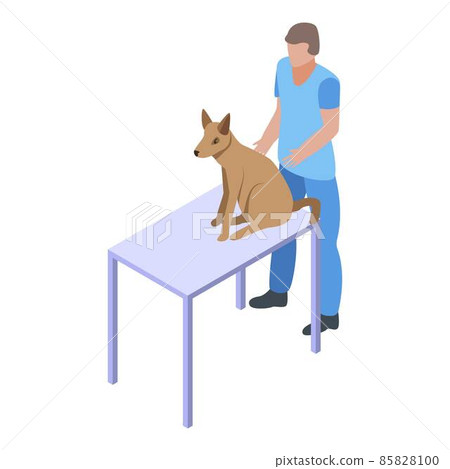 Dog at veterinary table icon, isometric style 85828100