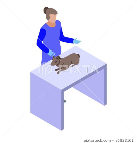 Dog kid at veterinarian icon, isometric style Dog kid at veterinarian icon, isometric style 85828101