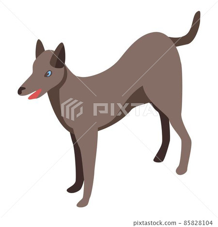 Brown dog icon, isometric style Brown dog icon, isometric style 85828104