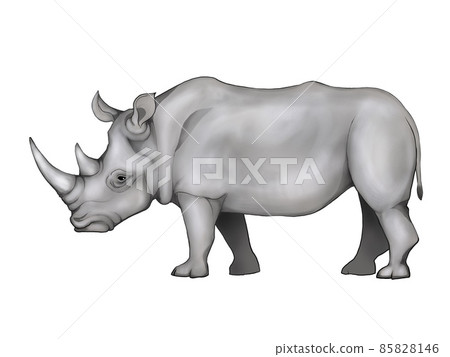 Illustration of white rhino 85828146