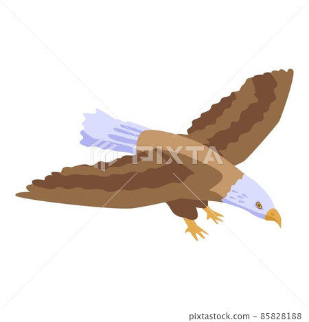 Eagle icon, isometric style 85828188