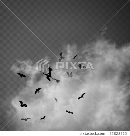 The witch sitting on the broom flyes through clouds up above the gray transparent background. Old The witch sitting on the broom flyes through clouds up above the gray transparent background. Old 85828313