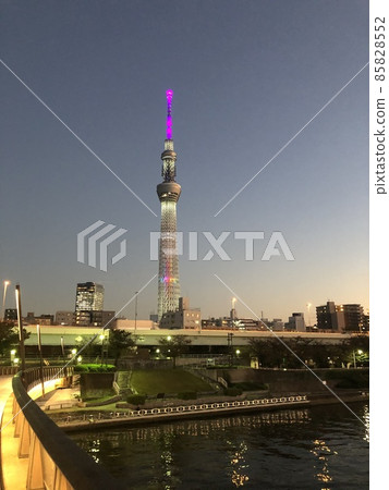 Lighted Sky Tree Lighted Sky Tree 85828552