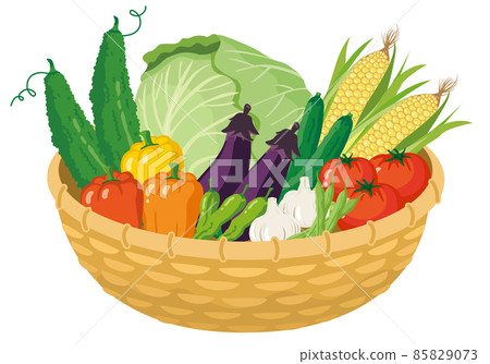 蔬菜_夏季蔬菜 蔬菜_夏季蔬菜 85829073