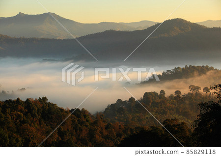 Mountain range with visible silhouettes through the morning colorful fog.with sunlight romanctic moment 85829118