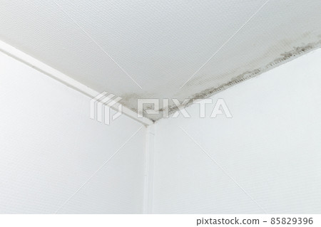 gray mold on the ceiling and walls, dampness in the house 85829396