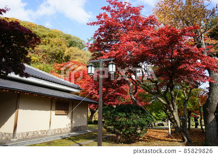 Morioka City Central Community Center in Autumn 85829826