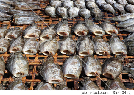 dried trichogaster fish 85830462