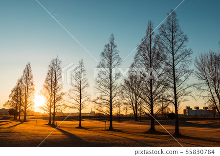 “埼玉縣”川口市荒川朝日從河床升起 85830784