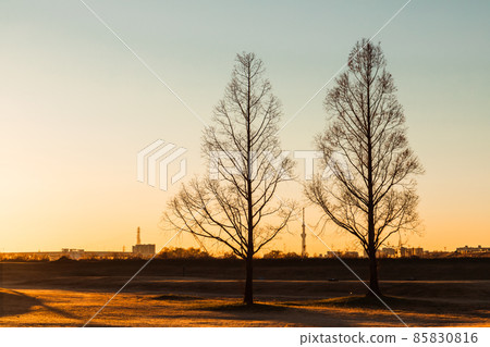 “埼玉縣”川口市荒川朝日從河床升起 85830816