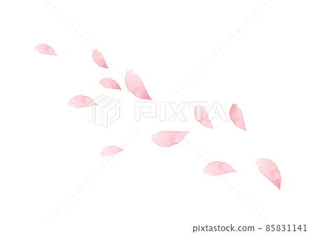 手繪水彩櫻花花瓣 85831141