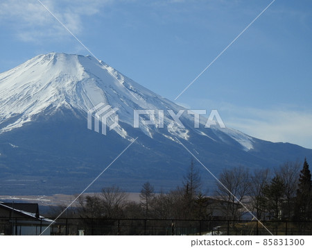 富士冬天 85831300