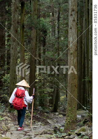 大邊路先生沿著山間的邊路走去四國八十八處朝聖 大邊路先生沿著山間的邊路走去四國八十八處朝聖 85831736