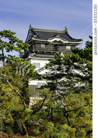 Okazaki Castle castle tower, Okazaki City, Aichi Prefecture 85832180