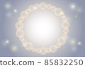 珍珠 85832250