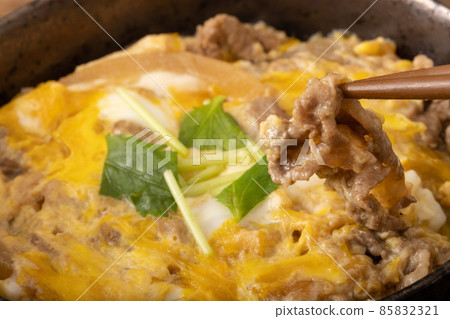 Beef and rice bowl 85832321