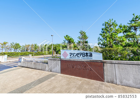 新潟縣新潟市陽光明媚的新潟市水族館 Marinepia Nihonkai 85832553