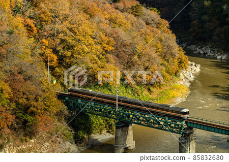 Limited express on the Iida line, fall 2021 85832680