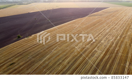 Field after harvest at dusk dawn. Camera goes up. Sky clouds. Field after harvest at dusk dawn. Camera goes up. Sky clouds. 85833147