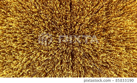 Flying over field of yellow ripe wheat, dawn sunset. Natural background. Flying over field of yellow ripe wheat, dawn sunset. Natural background. 85833190