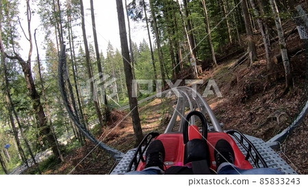 Person rides in fast rodelbahn sledding in mountains in woods among trees 85833243