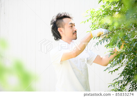 Bokeh in front of a planter who cares for greenery Bokeh in front of a planter who cares for greenery 85833274