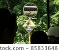 Dinosaur sign 85833648