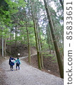 Children walking in the forest 85833651