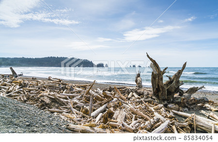 Second beach at mt. Olympic national park,Washington,usa. Second beach at mt. Olympic national park,Washington,usa. 85834054