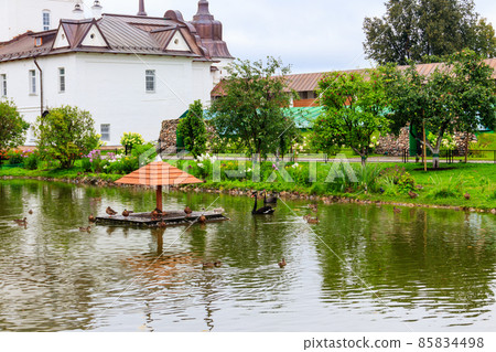Garden pond with swans and ducks in Tolga convent in Yaroslavl, Russia Garden pond with swans and ducks in Tolga convent in Yaroslavl, Russia 85834498