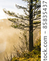 snowqualmie fall at sunset with a lot of fog. snowqualmie fall at sunset with a lot of fog. 85835437
