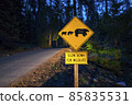 bear sign on the road at night. bear sign on the road at night. 85835531
