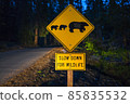 bear sign on the road at night. bear sign on the road at night. 85835532