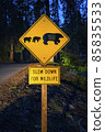 bear sign on the road at night. bear sign on the road at night. 85835533
