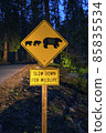 bear sign on the road at night. bear sign on the road at night. 85835534